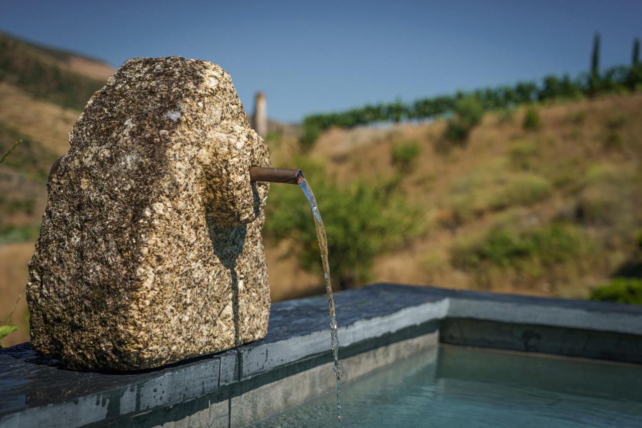 Casa Do Rio - Douro Wine Hotel By Vallado Vila Nova de Fozcoa Ngoại thất bức ảnh