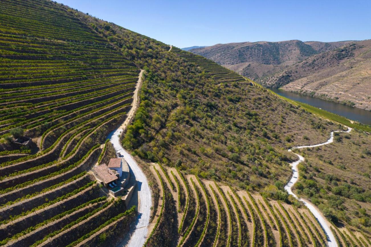 Casa Do Rio - Douro Wine Hotel By Vallado Vila Nova de Fozcoa Ngoại thất bức ảnh