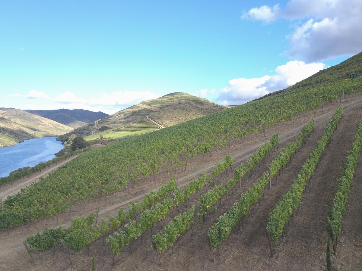 Casa Do Rio - Douro Wine Hotel By Vallado Vila Nova de Fozcoa Ngoại thất bức ảnh
