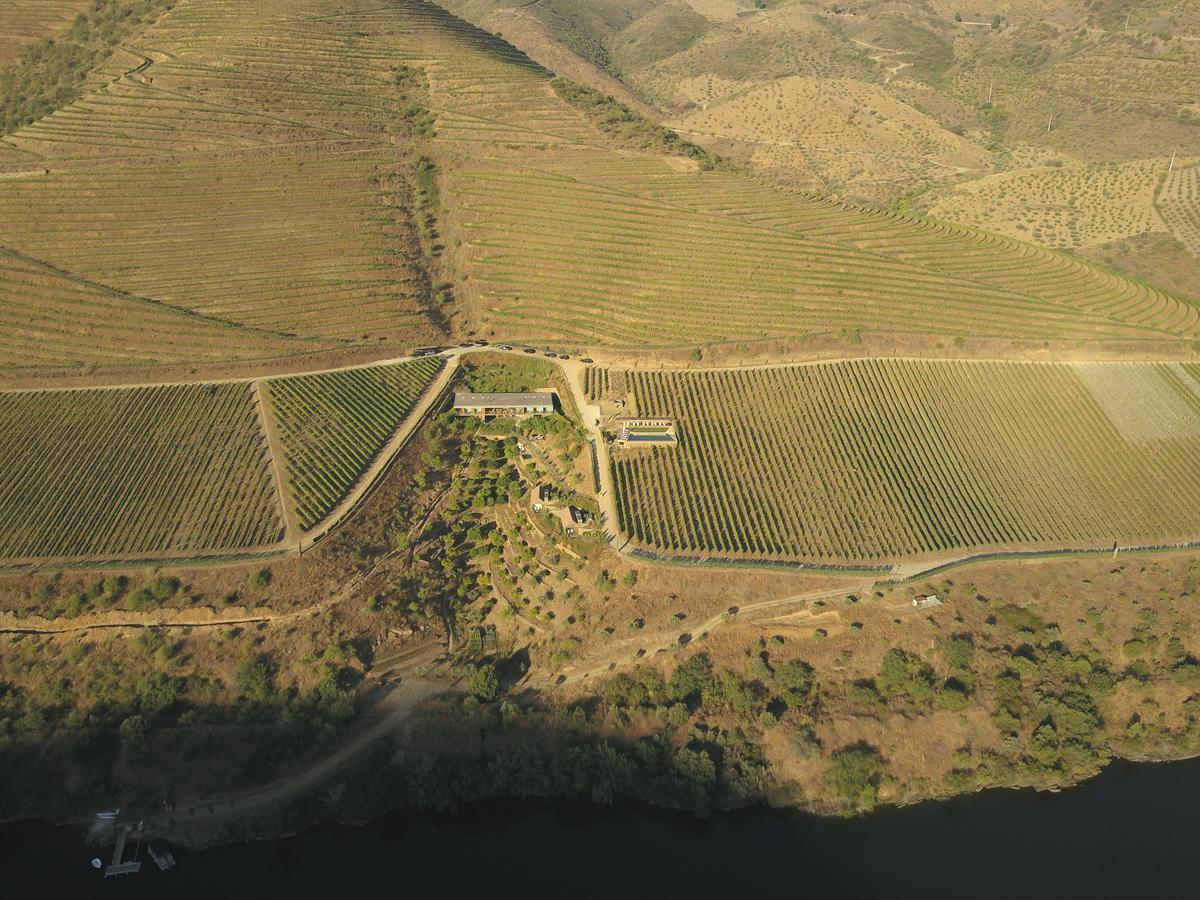 Casa Do Rio - Douro Wine Hotel By Vallado Vila Nova de Fozcoa Ngoại thất bức ảnh